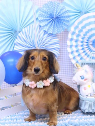 20231108めいちゃん